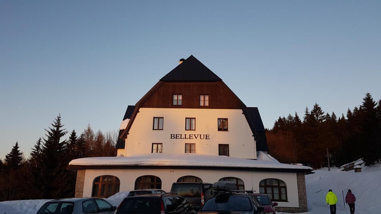Luxusni Mezonetovy Apartman Bellevue - Novy Benecko Exterior photo